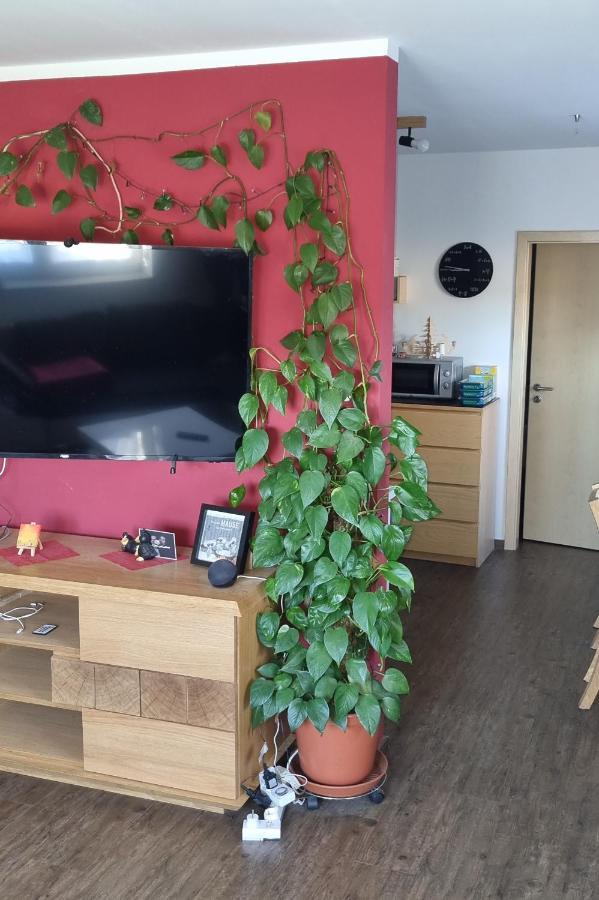 Ferienwohnung Bergidyll Schwarzenberg  Exteriör bild